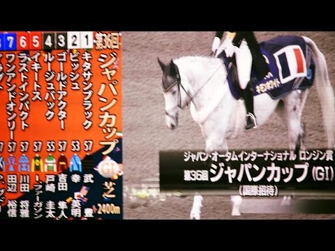 2016.11.27ジャパンカップ③返し馬＠東京競馬場