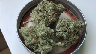 Strain Review : Orange Push Pop x Wedding Cake!!! Swell Cultivation