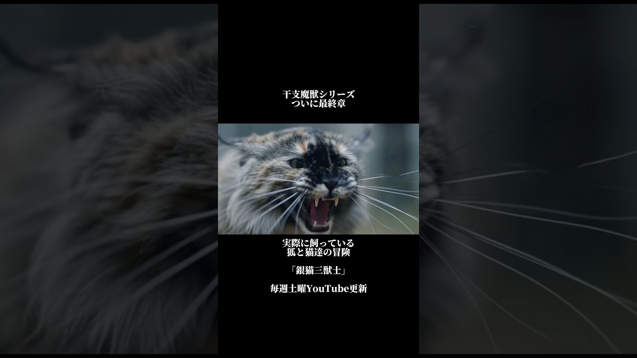 やばい敵と遭遇。干支魔獣シリーズ最終章