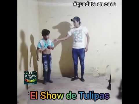 Tulipas y sus ocurrencias (Show de tulipas)