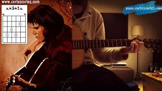 How To Play "IT'S A SAD SAD PLANET" by Evil Superstars - Acoustic Tutorial on a Hudson STX HD