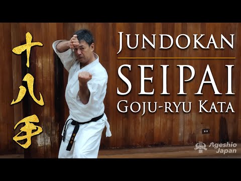 Powerful Kata | Seipai | Okinawa Karate Goju-ryu | Ageshio Japan