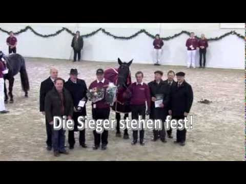 Moritzburger Hengsttage 2012