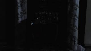 בית המדרש חזון יעקב • יום שני כה' כסלו תשפ'ו (בית הכנסת מוסאיוף) - התמונה מוצגת ישירות מתוך אתר האינטרנט יוטיוב. זכויות היוצרים בתמונה שייכות ליוצרה. קישור קרדיט למקור התוכן נמצא בתוך דף הסרטון