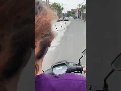 masyaallah