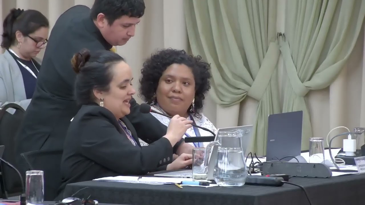 Audiencia Pública - Caso Mães de Cabo Frio Vs. Brasil Parte 1 (audio original)