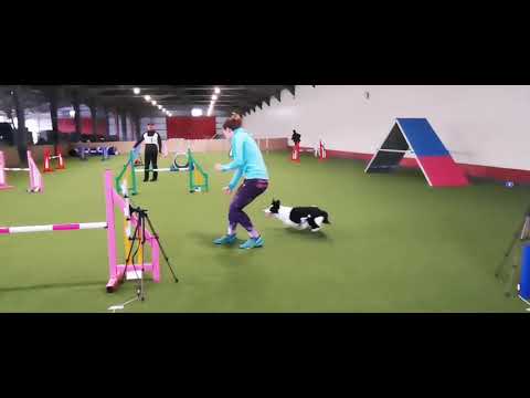 Mawlch Dara - Smaragd Se szezonzáró verseny - fastest runs & 1st places