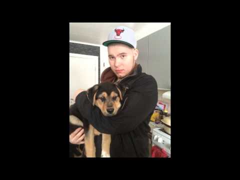 Acid Hoff - Stämplad (Audio)