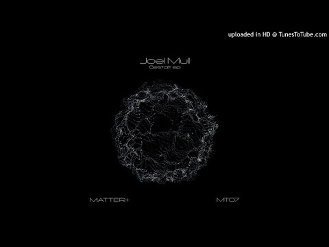 Joel Mull - Manatee