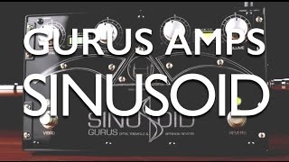Video thumbnail for Gurus Amps Sinusoid review by gilmourish