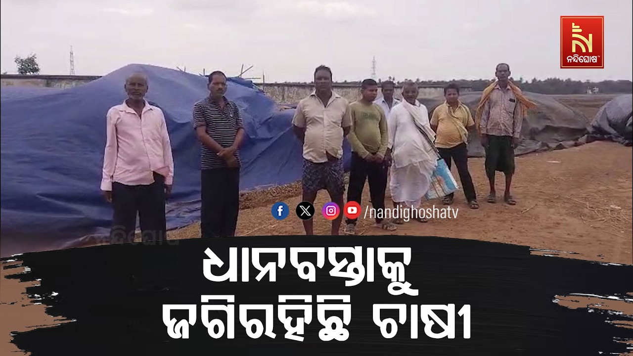 ମଣ୍ଡିରେ ପଡିରହିଛି କୁଇଣ୍ଟାଲ କୁଇଣ୍ଟାଲ ଧାନବସ୍ତା ; ମିଲର ଗ