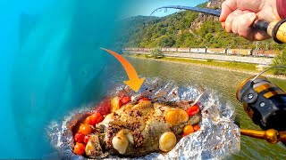 Feeder fishing on the Rhine with underwater camera / Catch and Cook