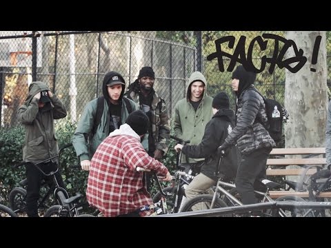 BMX - ANIMAL BIKES: FACTS PROMO