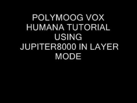 POLYMOOG VOX HUMANA TUTORIAL, FEATURES MUSIC OWNED BY GARY NUMAN