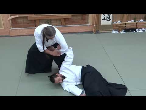 Aikido Flow and Dynamic