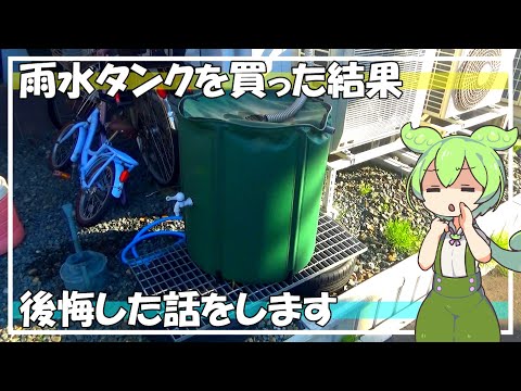 庭で雨水を利用するための 5 つのヒント