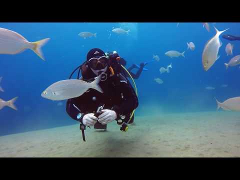 Safari Diving Lanzarote   Puerto del Carmen  Playa Chica Reef Dive