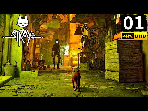 Stray Gameplay Walkthrough Part 1 - PC 4K 60FPS No Commentary