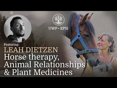 Universe Within Podcast Ep51 - Leah Dietzen - Horse therapy, Animal Relationships & Plant Medicines