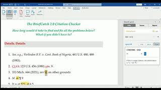 BriefCatch 2.0 Citation Checker Demo