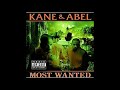 Kane & Abel - Show Dat Work (Shake it Like a Dog pt. 2)