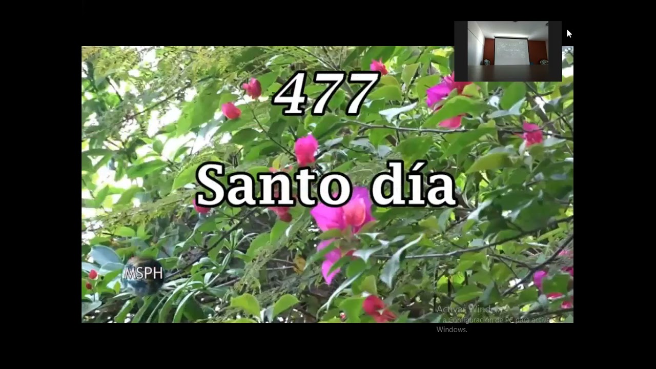 EXALTACION DEL DOMINGO Y LEY DOMINICAL