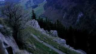 preview picture of video 'Swiss dog runs off cliff playing fetch (Ebenalp Switzerland)'