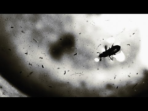 fragment. - Nothing Will Ever Be The Same [2016, full album + bonus EP]