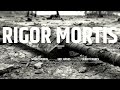 RIGOR MORTIS: The 1987 Era Sessions (Full 20-Minute New Beat Anthology)