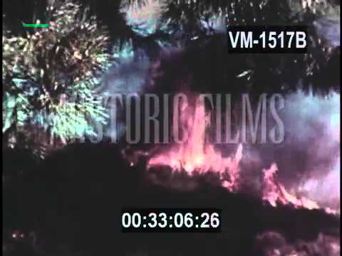 BATTALION CHIEF- 1976