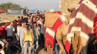 preview picture of video 'Castelo de Palmela recebe milhares de visitantes'