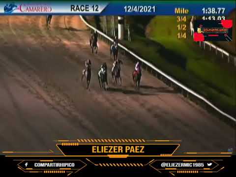 COPA CONFRATERNIDAD 2021 CAMARERO