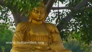 Buddha's Statue at Ramoji Film City