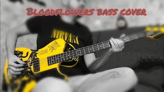 Video thumbnail for The Cure - Bloodflowers bass cover (Trilogy) by Low cost Gallup 13