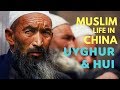 Kehidupan MUSLIM WUHAN CHINA Suku UYGHUR Dan HUI MUSLIM LIFE IN CHINA