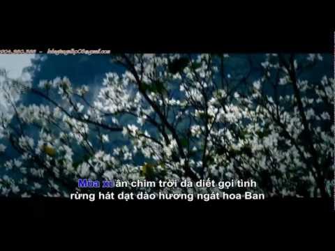 Hoa Ban Trắng [ HD Music Video ] Karaoke