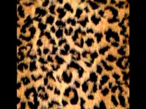 D.Nuno - Kerem Mandar Me Abaixo (com Vilma)