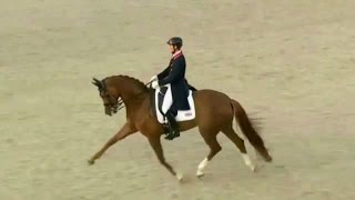 Fin de carrière pour Woodlander Farouche