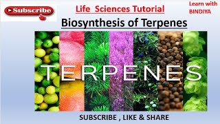 Secondary Metabolites || Biosynthesis of Terpenes || Easy Language || Important Topic For CSIR