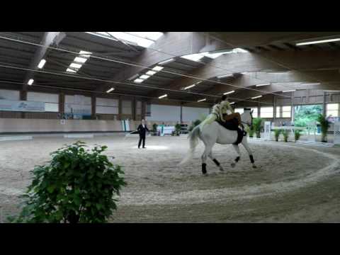 Landesmeisterschaft Rheinland-Pfalz - Herxheim - Pas de Deux - VFZ Mainz-Ebersheim