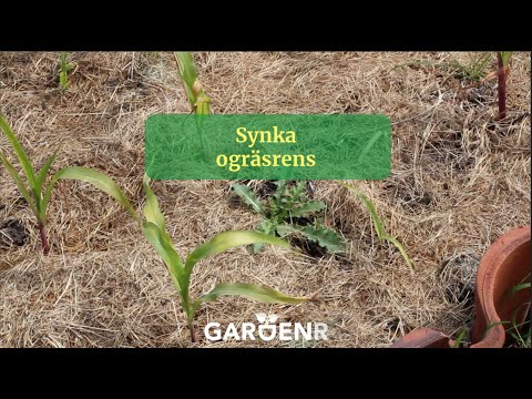 Sync weeding - Gardenhacks by GardenR