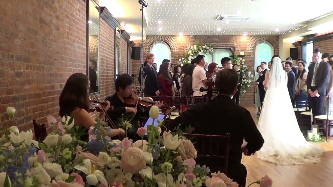 Promotional video thumbnail 74 for Xinou Wei Strings