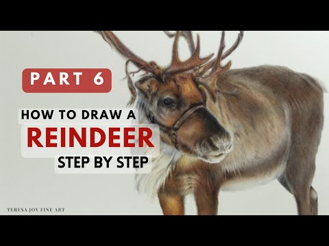 How to Draw a Reindeer PART 6. Step by Step, Colour Pencil, Animal Portrait Tutorial