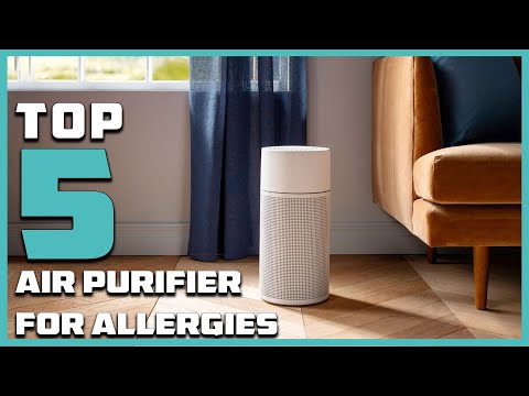 Top 5 Best Air Purifiers for Allergies: You Should Consider in 2025