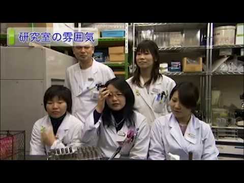麻布大学 研究室紹介29_大仲　賢二講師