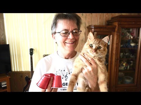 Cat Kitten Flea Pill Seizures: Signs Symptoms Causes Natural Treatment: Goldie & Pills Warning PSA