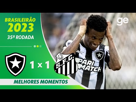 Gols e lances de Botafogo x Santos