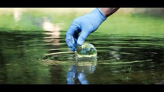 Module-3: Indicator organism, Sanitary analysis of water- Microbes and Environment