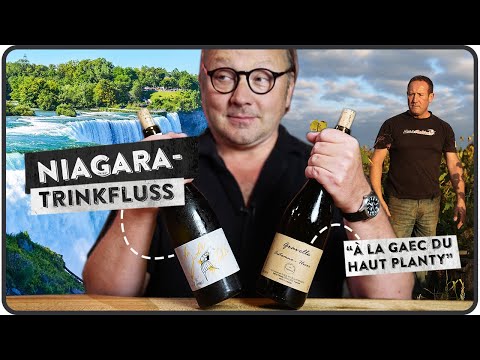Purer Spaß im Glas – Niagaratrinkfluss von der Loire – 5 MINUTEN FÜR WEIN (AM LIMIT)