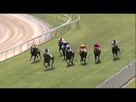 RM32 R1/ Crushing force/ S.Bussunt